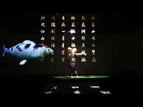 3D Hologrpahic Dance Transparent Gauze Screen