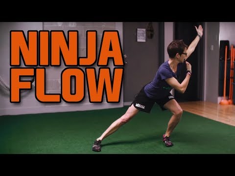 Advanced mobility drill for hockey goalies - Ninja Flow