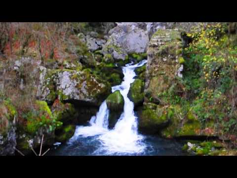 Neil Young &Emmylou Harris--Sweet Old World"