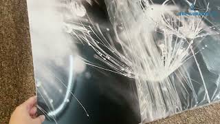 Kuchyňský panel ABS plast Dandelions BW 3000x600mm 1,5mm