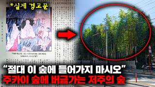 일본의 도심지 한복판에 위치한 절대 출입하면 안되는 저주받은 숲의 정체 [괴담]