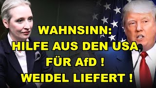 HILFE AUS DEN USA für AfD! Weidel LIEFERT!