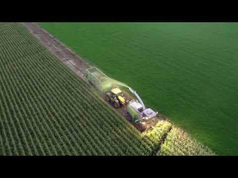 Warren Farms Maize Harvest 8-5-2020