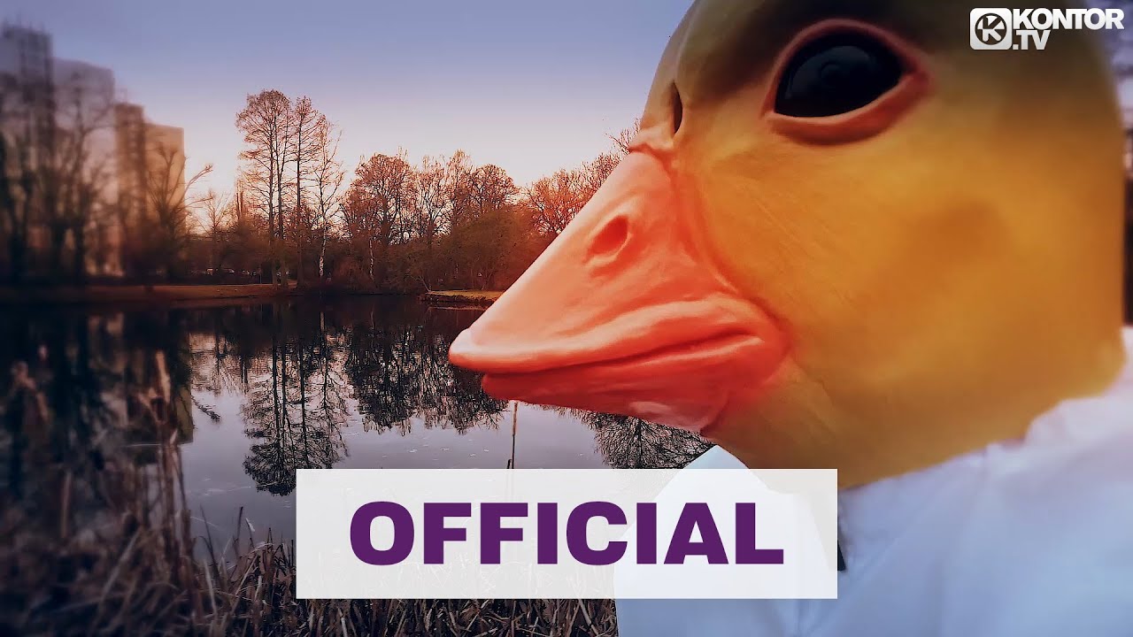 Denn Ich Dance Mit De Gänse Songtext Wie der Song 'Dance Mit De Gänse' in den Musikcharts abgeschnitten hat