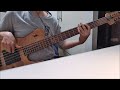 Shakira Whenever Wherever Bass Cover