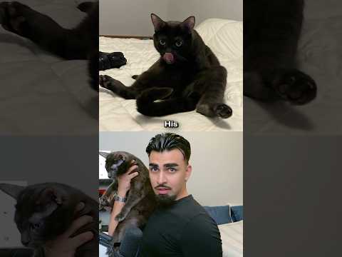 Lerne meinen Hund kennen 🤔