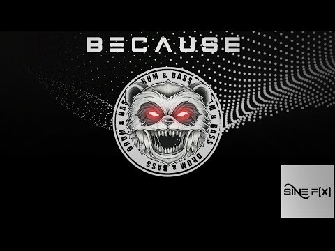 Noizesplitter - Because [Sine Function Music]