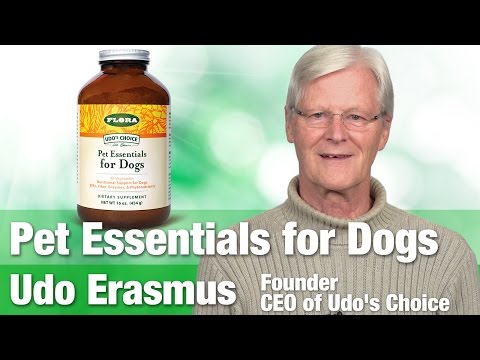 Doggy Detox: How Can I Keep Protect My Dog's Health?