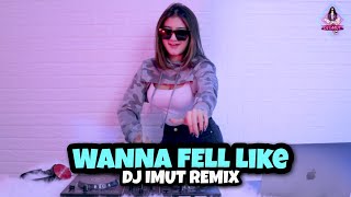 Download Dj Wanna Fell Like - Dj Imut Remix