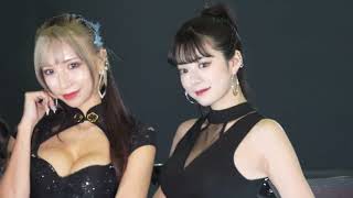 【4K】TAS2025  VeilSide ブース 楓紗季 沙倉しずか 矢野美優 桑田彩 朝比奈果歩 かえるちゃん 栗原もみじ さん 東京オートサロン2025