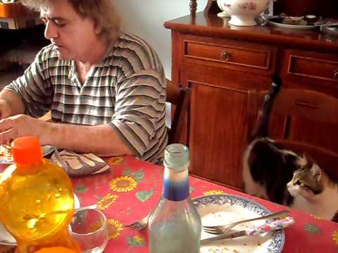 Baby il ladro di cibo.