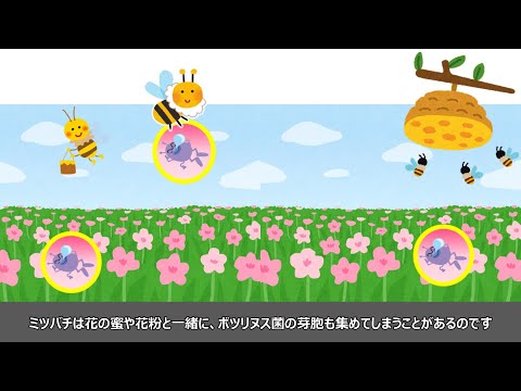 ボツリヌス症について詳しく解説