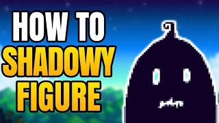 Stardew Valley – Where To Find The Shadowy Figure | A Winter Mystery Quest Guide