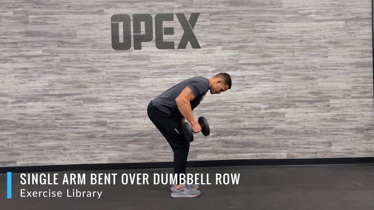 Single Arm Bent Over Dumbbell Row - YouTube