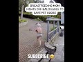 NEW BALD EAGLE Almost Took Her Pet GOOSE