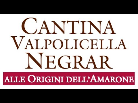 History of Cantina Valpolicella Negrar and making of Amarone