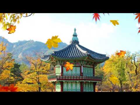 Tìm tôi một chiếc lá vàng - Tâm Thư