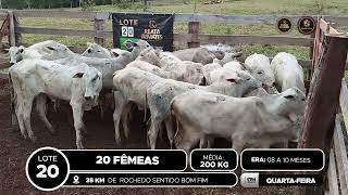 Vídeo LOTE 20