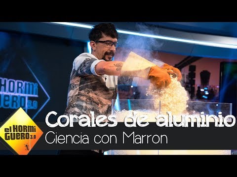 Así ha creado Marron estos increíbles corales de aluminio - El Hormiguero 3.0