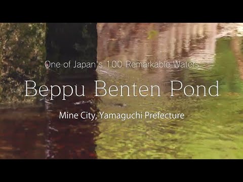 MINE city tourism material video【Beppu Benten Pond】　English