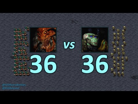 36 Hydralisks vs 36 Zealots - Even Numbers - StarCraft Retro Battles