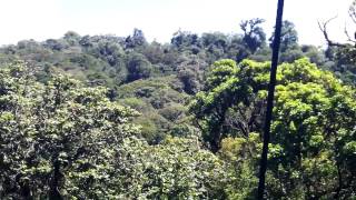 preview picture of video 'Colinas del Poas, Alajuela, Costa Rica Abril 05, 2015 Zipline'