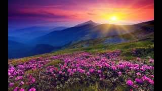 Jan Johnston - Am I on Pause (29 Palms Remix)