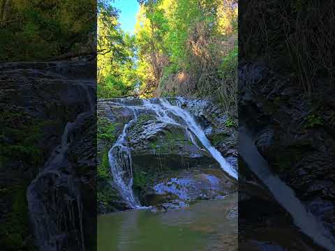 Cascada Trongol #biobio #cascada #survival #curanilahue #naturelovers #natural #rios #verde #viral