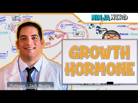 Endocrinology | Growth Hormone