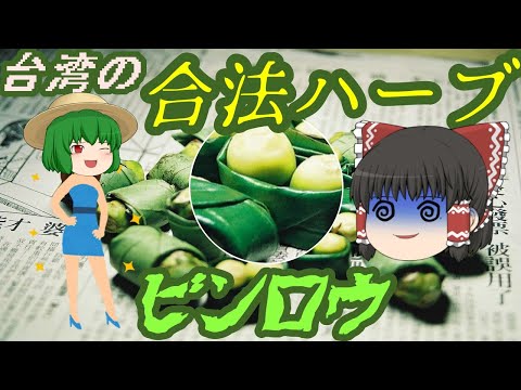 ビンロウヤシ 植物