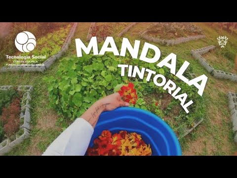 Projeto Mandala Tintorial