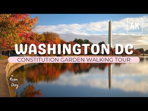 Walking Tour: 2022 DC Marine Corp Marathon and Downtown DC Fall Foliage [Narrated] 4K
