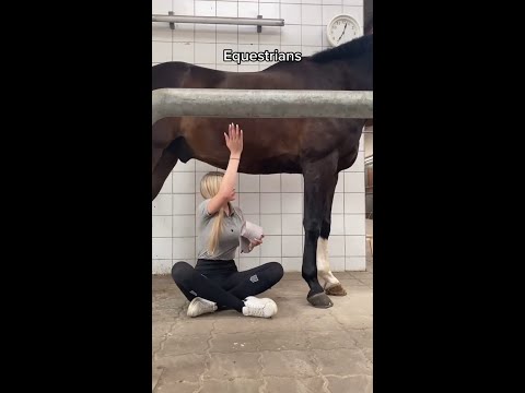 I know you we are a different breed 😂 #funnyanimal #hoers #funny