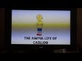 Opening To The Awful Life Of Caillou Season 1 2016 VHS