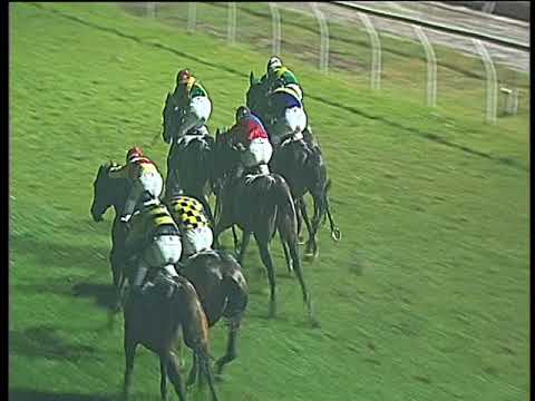 Galoppo 06/02/2018 - 6ª corsa - TRIS