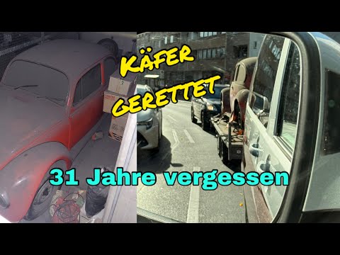 Vergessenen VW Käfer nach 31 Jahren aus einer Garage gerettet. Ob der noch läuft. #carrescure