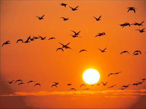 Santerna feat Vadim Kapustin - I Believe In Life (Steve Brian Remix)