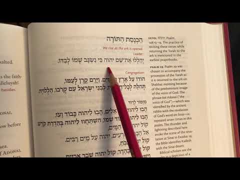 Y’Hal’lu and Hodo al eretz