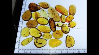  Křídový jantar SJ-71