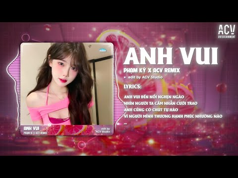 Anh Vui Remix (Bản 🎵) - Phạm Kỳ x Domino Remix | Anh Vui Đến Nỗi Nghẹn Ngào...