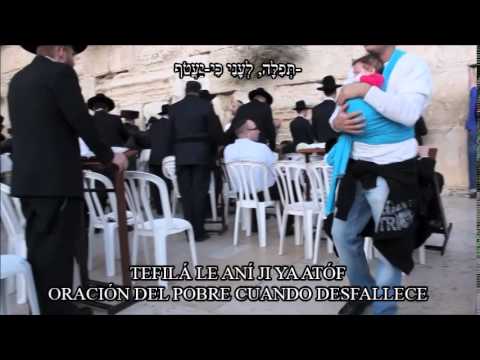 Tehillim 102/Tefiloh le Aní - Shalhevet Orquestra Hebreo-Fonetica-Español