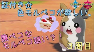 【ポケモン剣盾】超レア☆証付き色ハラペコなモルペコgetの旅３周目1340～【初見さん歓迎】【女性実況】