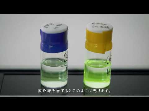 応用生物学課程 【京都工芸繊維大学】（研究紹介）分子化学系　櫻井 庸明 准教授