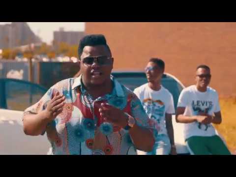Dladla Mshunqisi  ft  DJ Target no  Ndile Cothoza Official Music Video