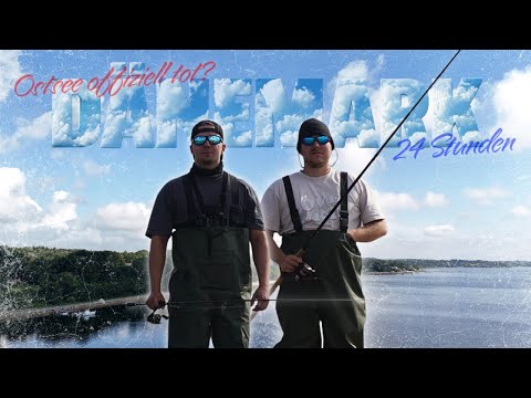 24 Stunden Angeln in Dänemark - Damit haben wir NICHT gerechnet! 😳