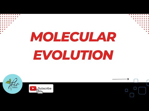 Molecular Evolution - What is molecular evolution? - Phylogenetics || Biology || Bioinformatics.