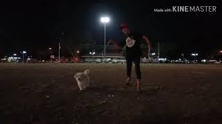 Download lagu Story wa asu asu asu asu tenan mp3