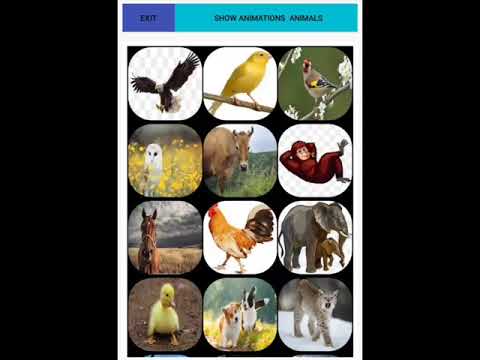 Animalssounds