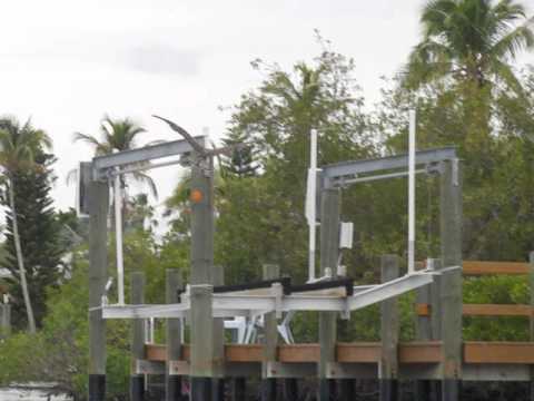 Osprey in slow-motion