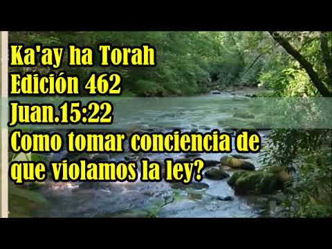 462-Ka'ay ha Torah Edición 462 Juan.15:22 ¿ Cómo tomar conciencia de que violamos la ley?